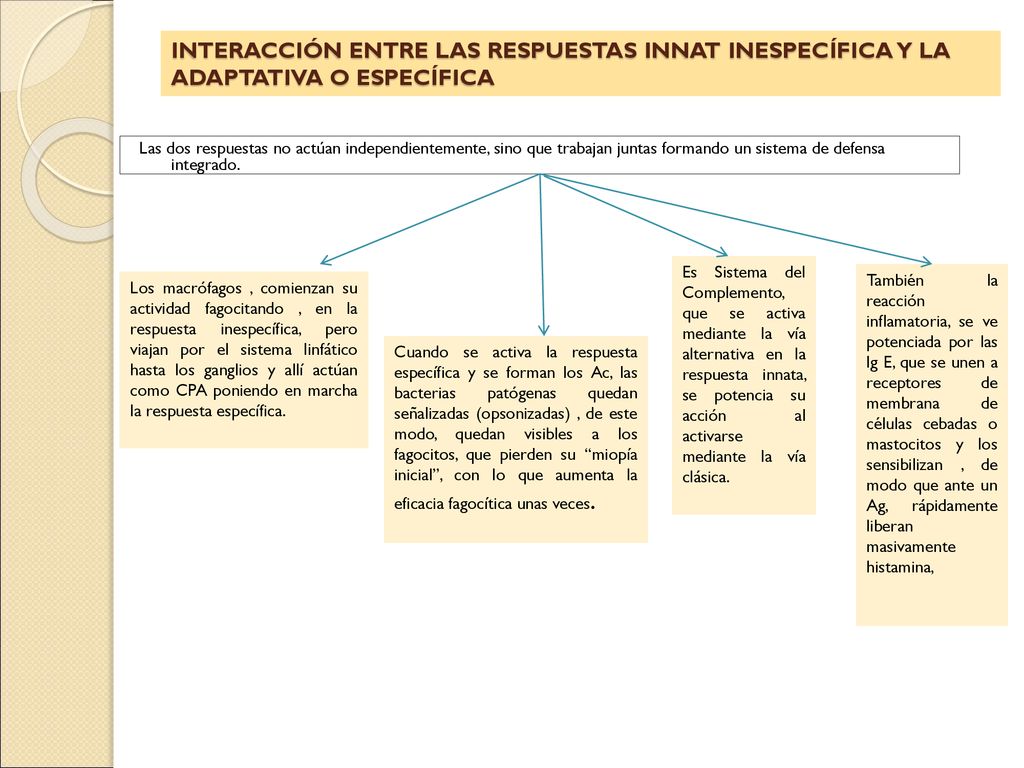 INTERACCIÓN ENTRE LAS RESPUESTAS INNAT INESPECÍFICA Y LA ADAPTATIVA O ESPECÍFICA
