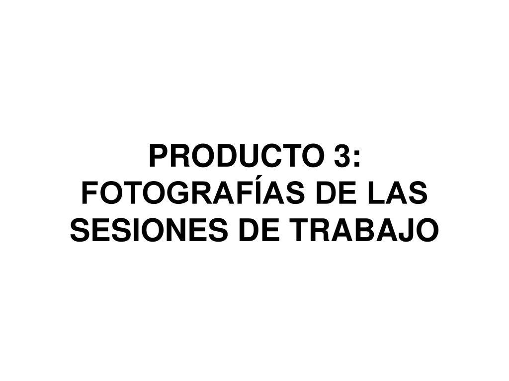 PRODUCTO 3: FOTOGRAFÍAS DE LAS SESIONES DE TRABAJO