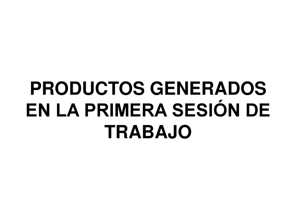 PRODUCTOS GENERADOS EN LA PRIMERA SESIÓN DE TRABAJO