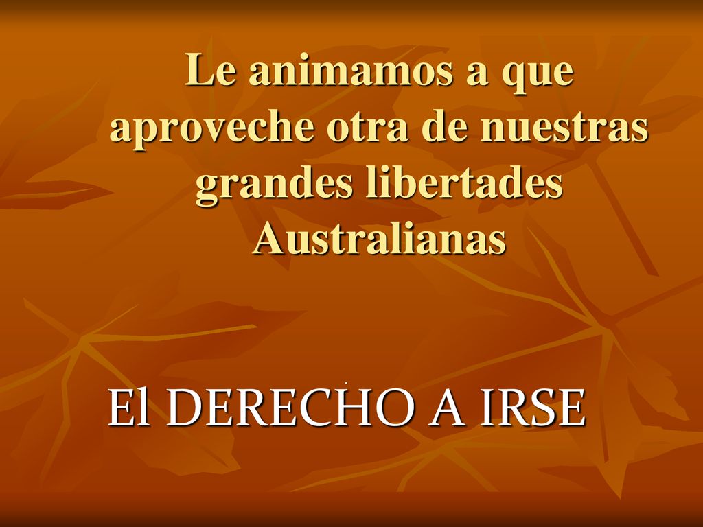 Le animamos a que aproveche otra de nuestras grandes libertades Australianas