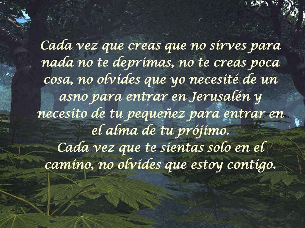 Cada vez que creas que no sirves para nada no te deprimas, no te creas poca cosa, no olvides que yo necesité de un asno para entrar en Jerusalén y necesito de tu pequeñez para entrar en el alma de tu prójimo. Cada vez que te sientas solo en el camino, no olvides que estoy contigo.