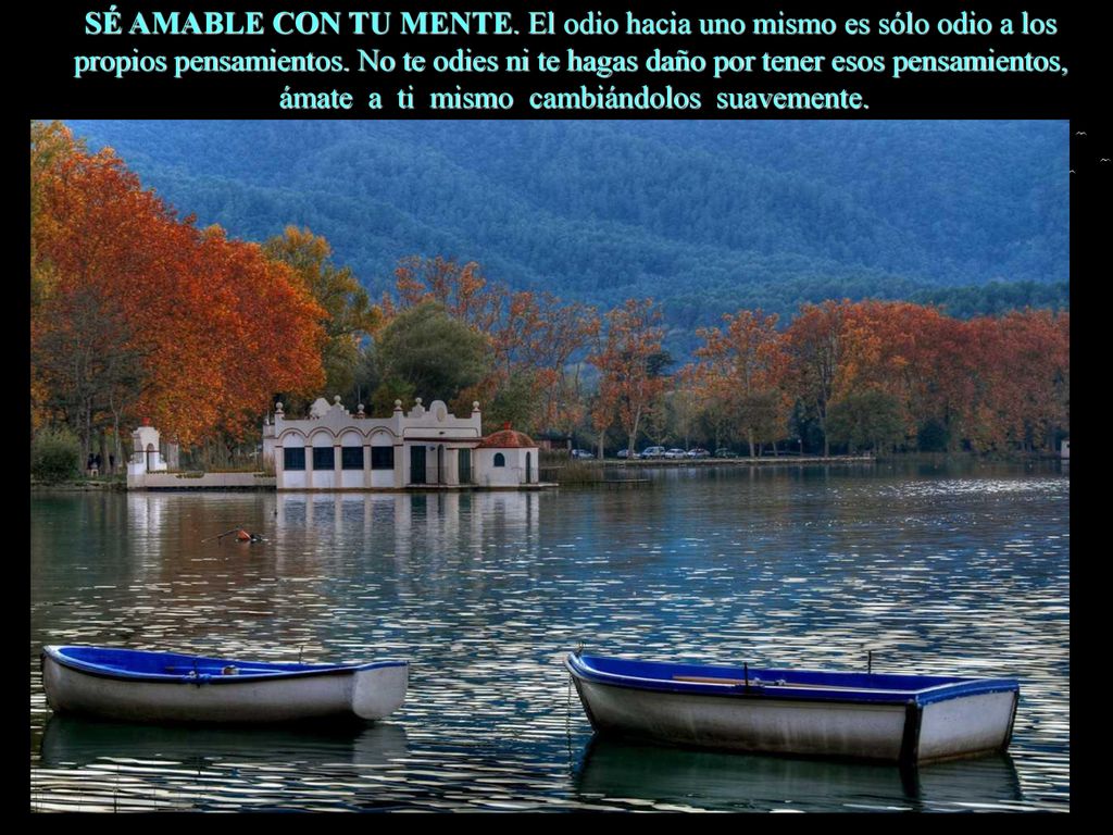 SÉ AMABLE CON TU MENTE. El odio hacia uno mismo es sólo odio a los