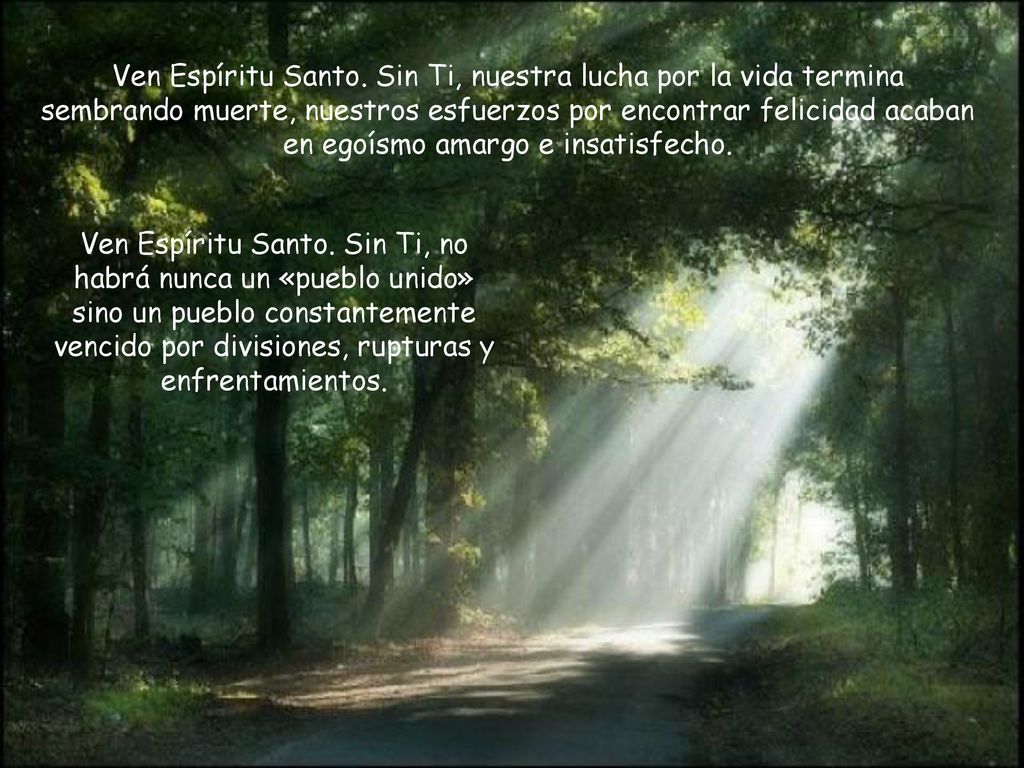 Ven Espíritu Santo. Sin Ti, nuestra lucha por la vida termina sembrando muerte, nuestros esfuerzos por encontrar felicidad acaban en egoísmo amargo e insatisfecho.