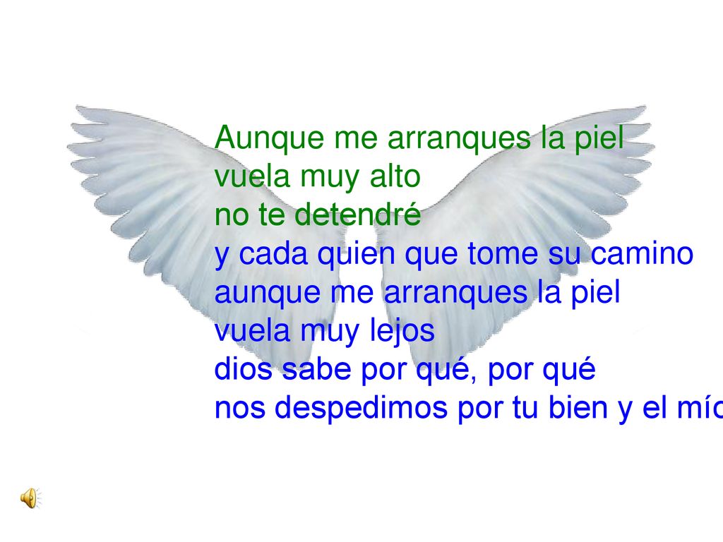Aunque me arranques la piel vuela muy alto no te detendré y cada quien que tome su camino aunque me arranques la piel vuela muy lejos dios sabe por qué, por qué nos despedimos por tu bien y el mío