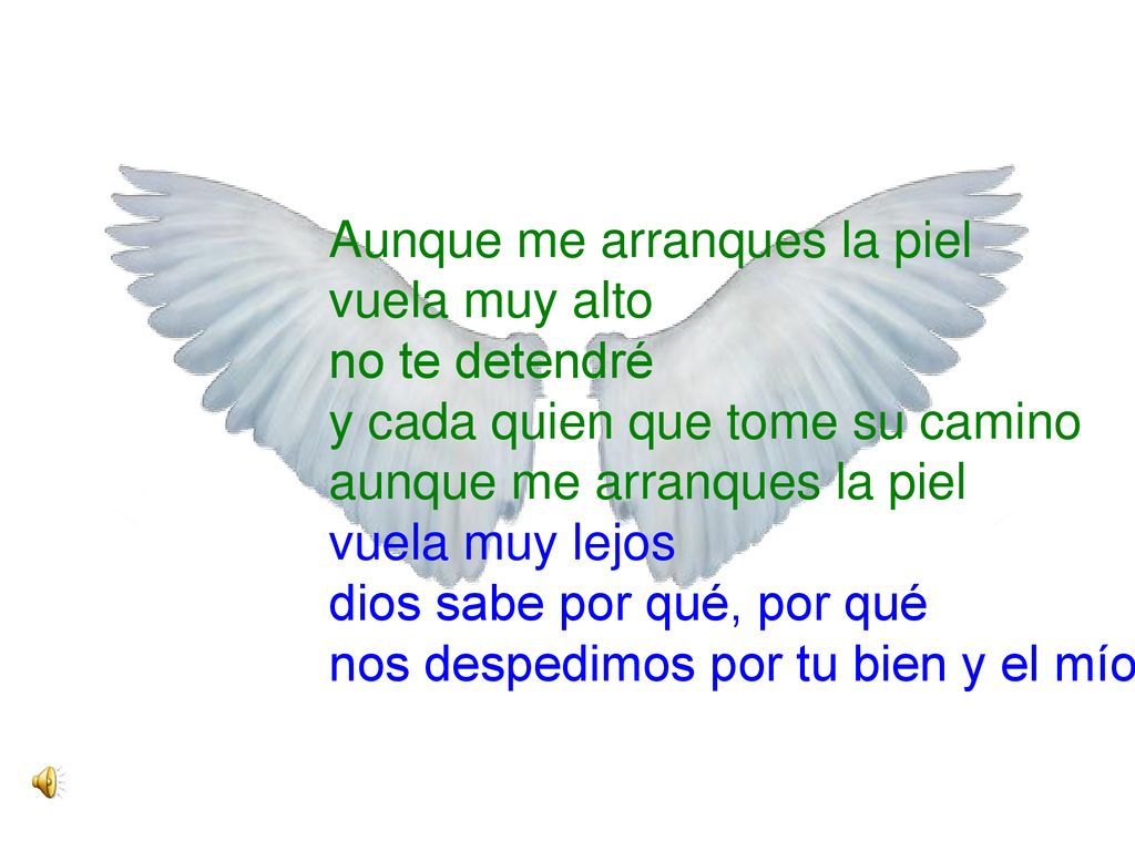 Aunque me arranques la piel vuela muy alto no te detendré y cada quien que tome su camino aunque me arranques la piel vuela muy lejos dios sabe por qué, por qué nos despedimos por tu bien y el mío