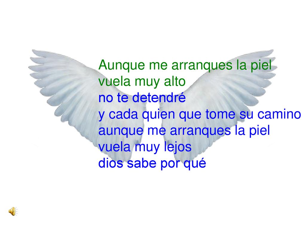 Aunque me arranques la piel vuela muy alto no te detendré y cada quien que tome su camino aunque me arranques la piel vuela muy lejos dios sabe por qué