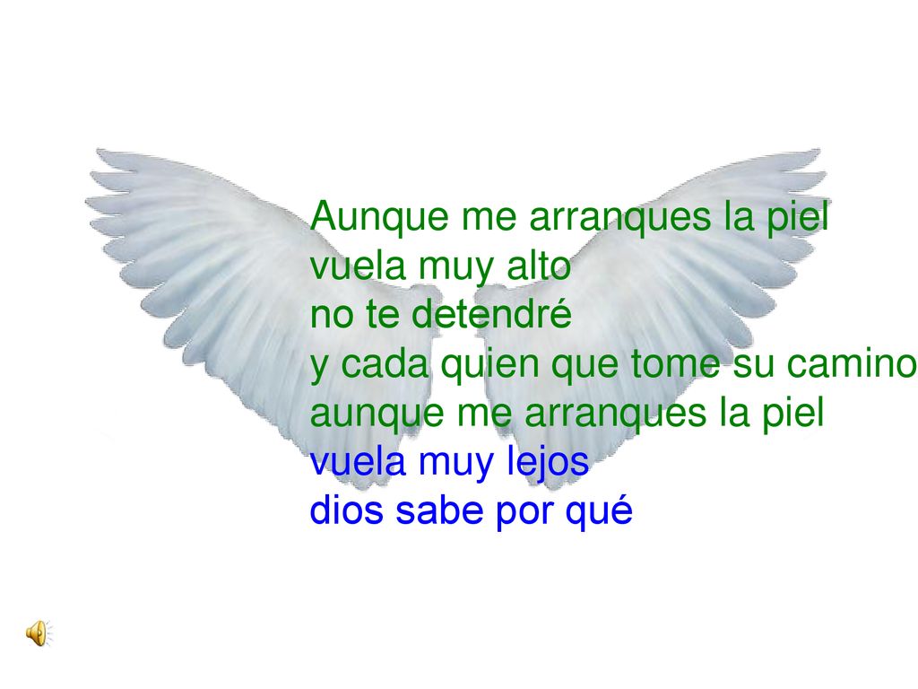 Aunque me arranques la piel vuela muy alto no te detendré y cada quien que tome su camino aunque me arranques la piel vuela muy lejos dios sabe por qué