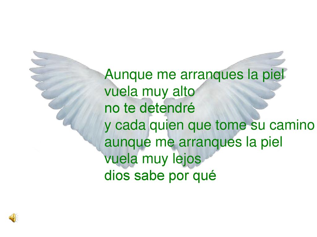 Aunque me arranques la piel vuela muy alto no te detendré y cada quien que tome su camino aunque me arranques la piel vuela muy lejos dios sabe por qué