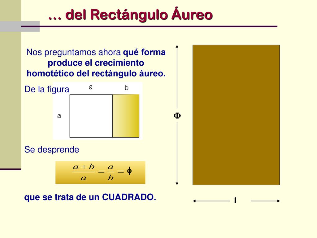 … del Rectángulo Áureo Nos preguntamos ahora qué forma produce el crecimiento homotético del rectángulo áureo.