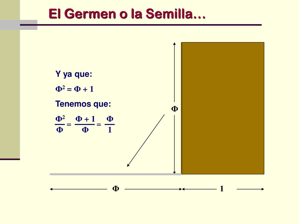 El Germen o la Semilla… Y ya que: Φ2 = Φ + 1 Tenemos que: Φ2 Φ + 1 Φ Φ