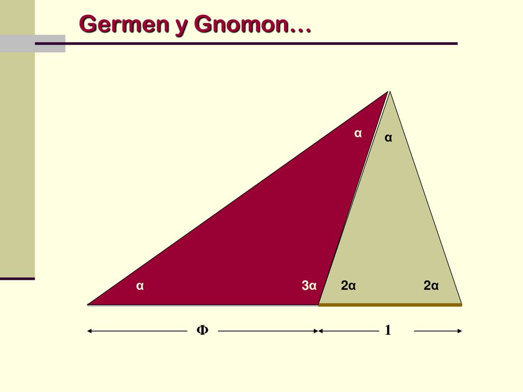 Germen y Gnomon… α α α 2α 2α 3α α α α 3α 2α 2α Φ 1