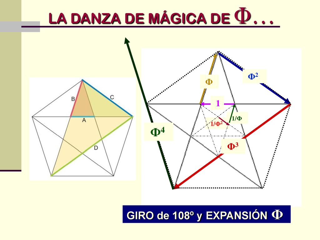 LA DANZA DE MÁGICA DE Φ… GIRO de 108º y EXPANSIÓN Φ Φ4 Φ3 Φ2 Φ 1 1/Φ