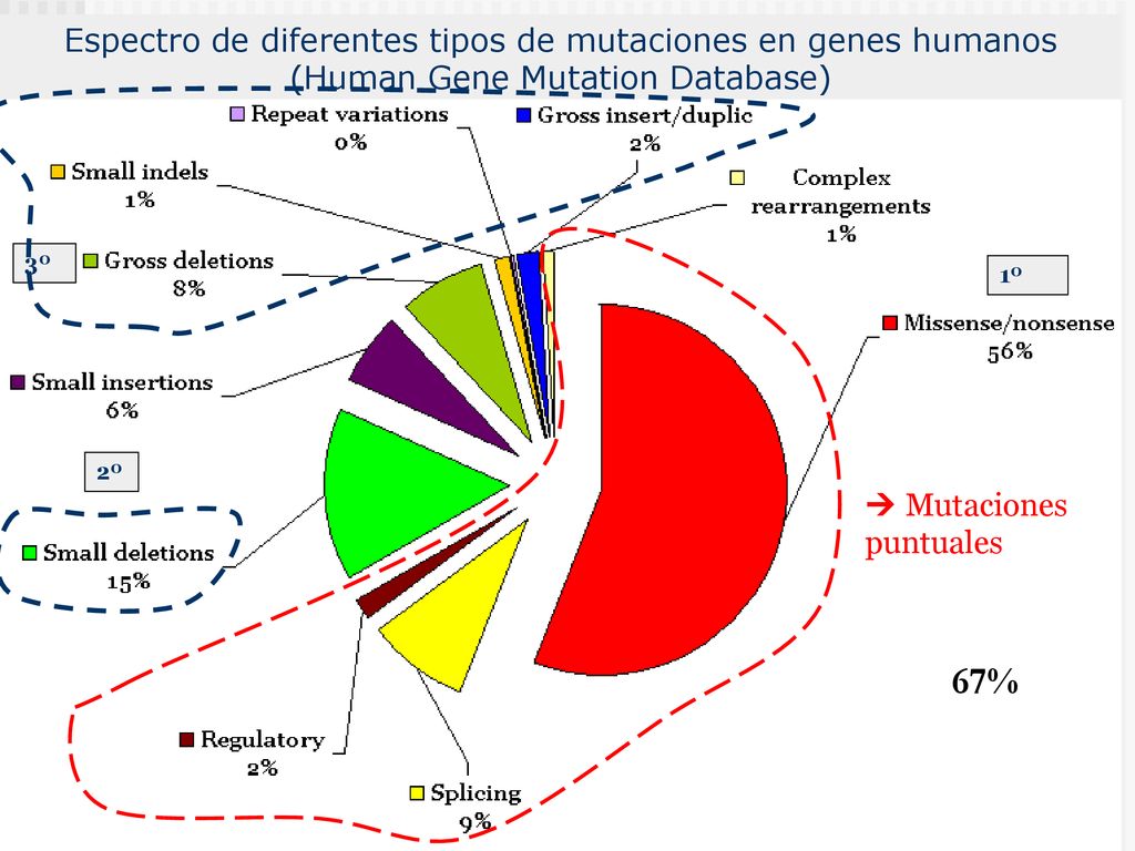 Espectro de diferentes tipos de mutaciones en genes humanos (Human Gene Mutation Database)