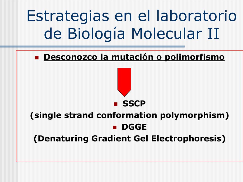 Estrategias en el laboratorio de Biología Molecular II