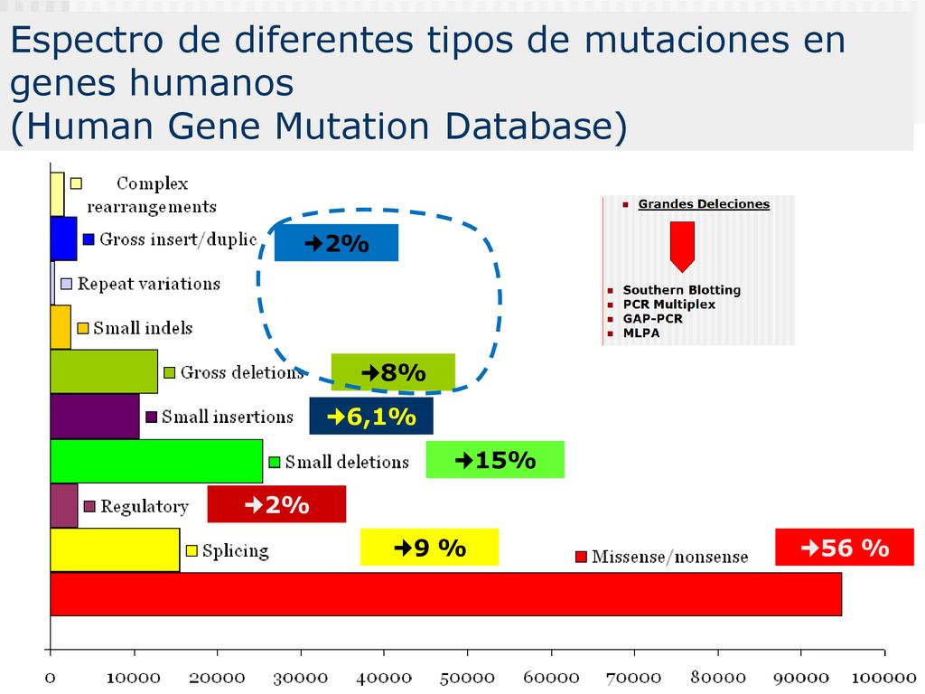 Espectro de diferentes tipos de mutaciones en genes humanos (Human Gene Mutation Database)