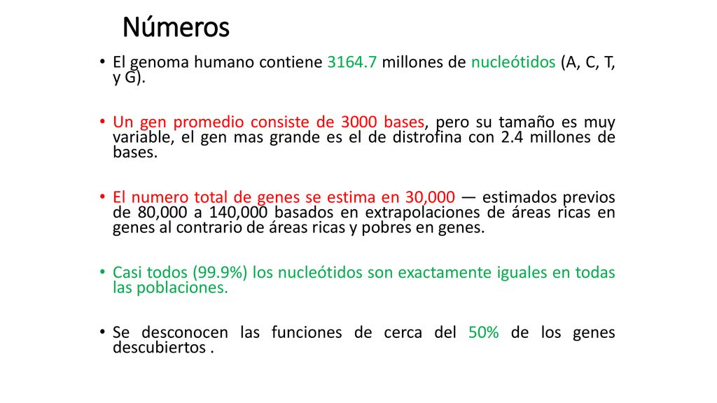 Números El genoma humano contiene millones de nucleótidos (A, C, T, y G).