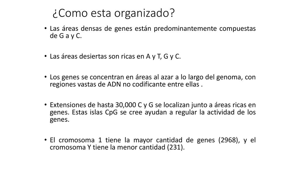 ¿Como esta organizado Las áreas densas de genes están predominantemente compuestas de G a y C. Las áreas desiertas son ricas en A y T, G y C.