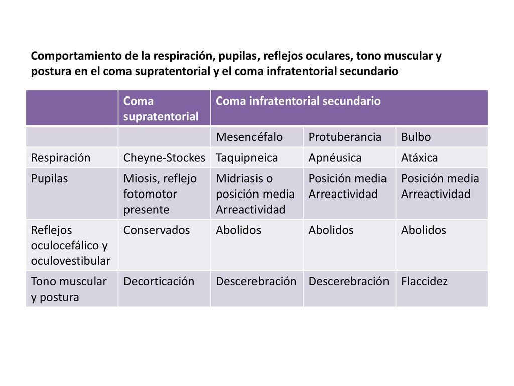 Comportamiento de la respiración, pupilas, reflejos oculares, tono muscular y postura en el coma supratentorial y el coma infratentorial secundario