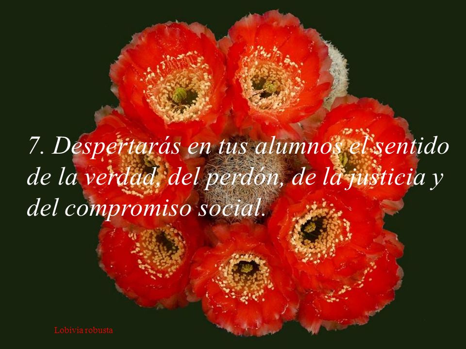 7. Despertarás en tus alumnos el sentido de la verdad, del perdón, de la justicia y del compromiso social.