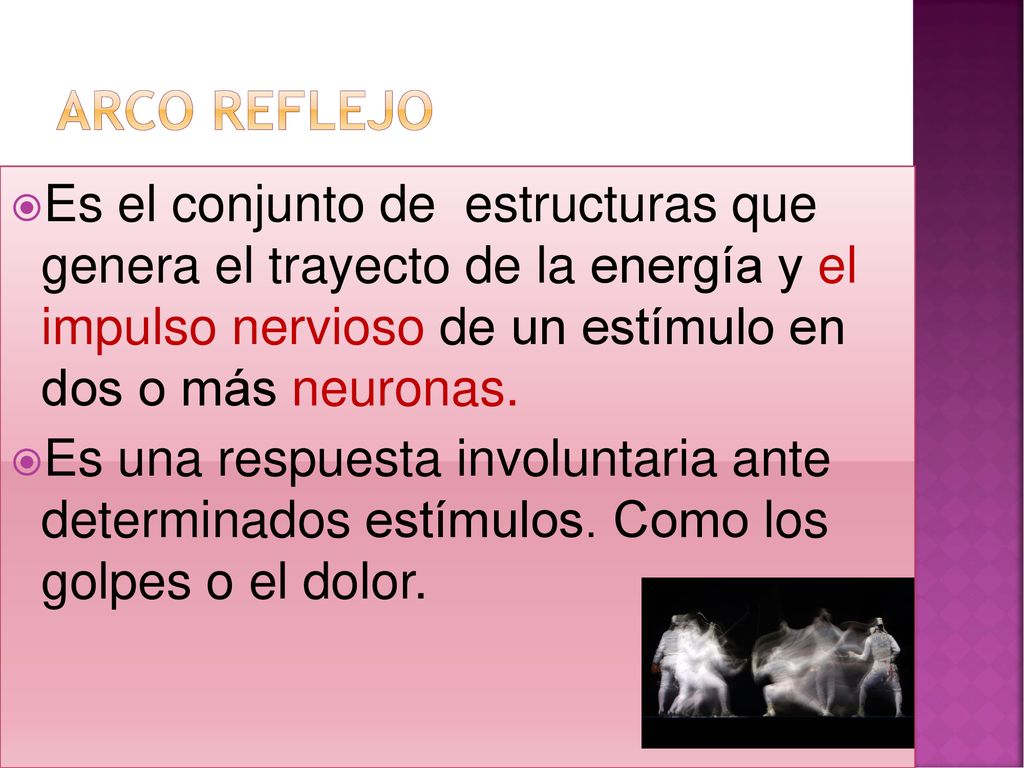 Arco reflejo Es el conjunto de estructuras que genera el trayecto de la energía y el impulso nervioso de un estímulo en dos o más neuronas.