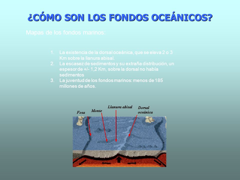 ¿CÓMO SON LOS FONDOS OCEÁNICOS