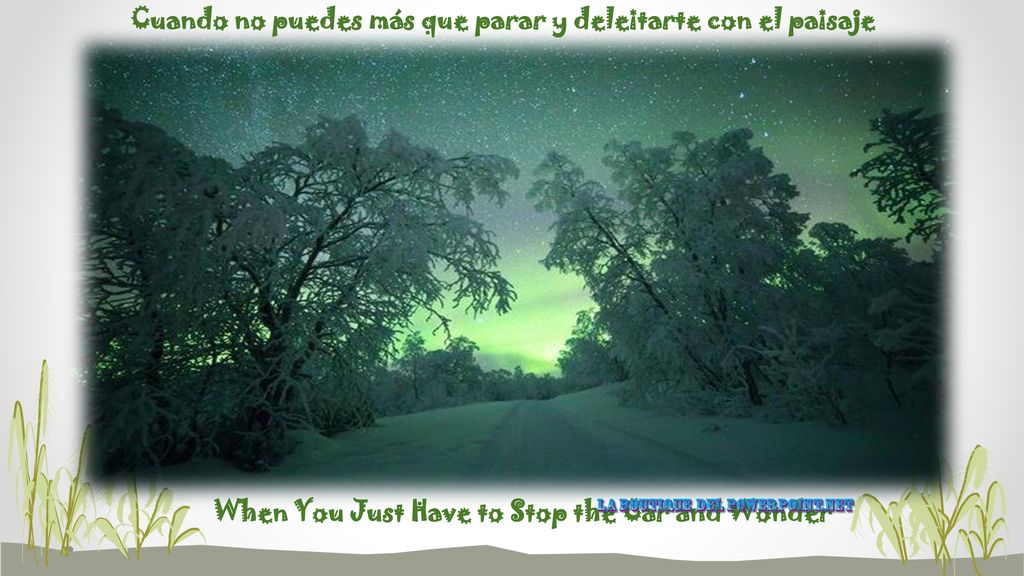 Cuando no puedes más que parar y deleitarte con el paisaje