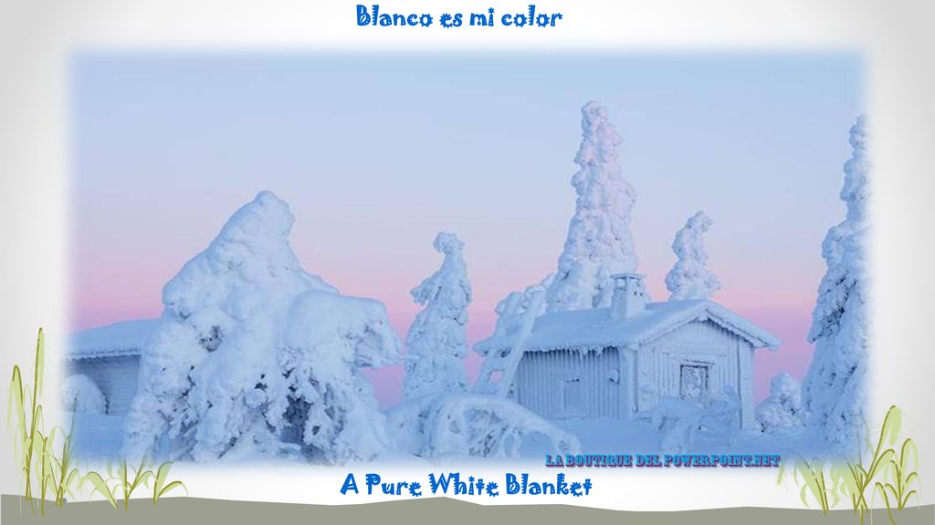 Blanco es mi color A Pure White Blanket