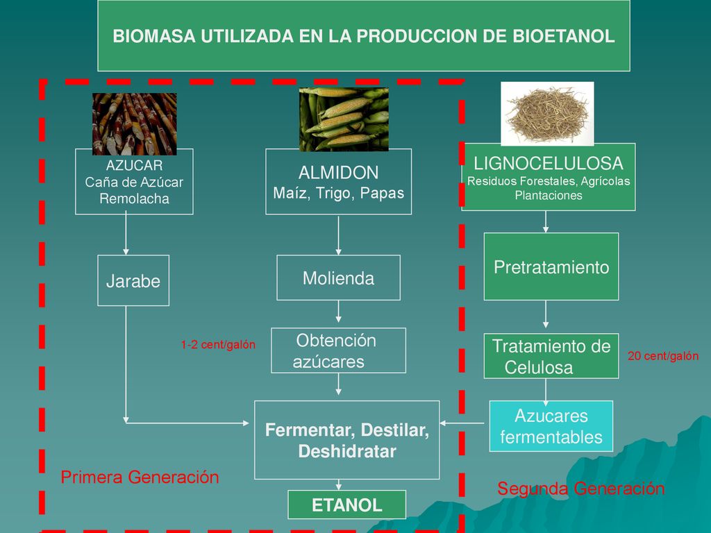Diseño e Implementación de un proceso de producción de biomasa en altas  concentraciones para la producción de bio-etanol de segunda generación”  . - ppt descargar
