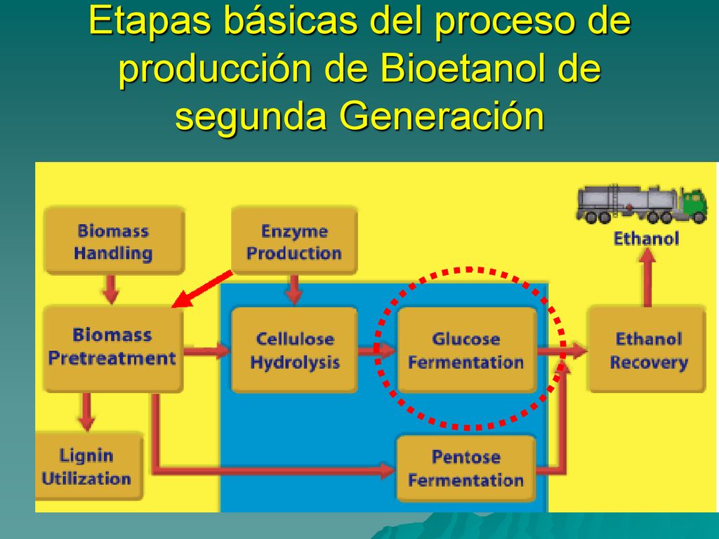 Etapas básicas del proceso de producción de Bioetanol de segunda Generación