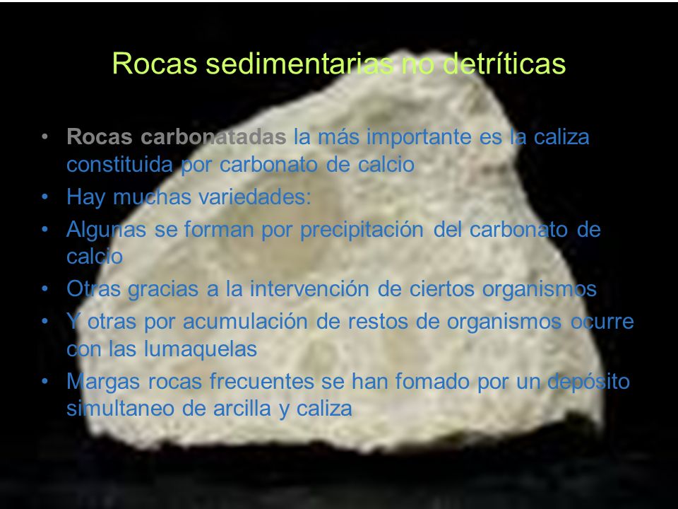 Rocas sedimentarias no detríticas