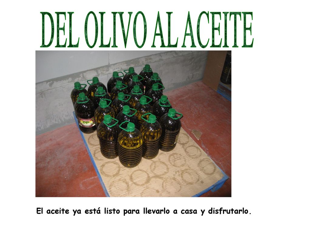 DEL OLIVO AL ACEITE El aceite ya está listo para llevarlo a casa y disfrutarlo.