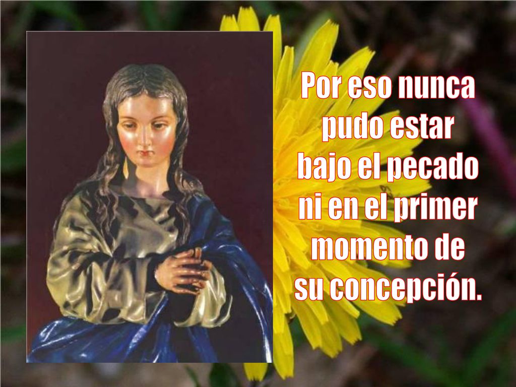Por eso nunca pudo estar bajo el pecado ni en el primer momento de su concepción.