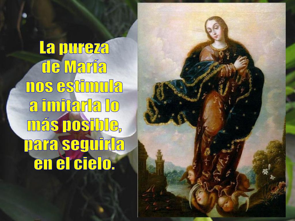 La pureza de María nos estimula a imitarla lo más posible, para seguirla en el cielo.