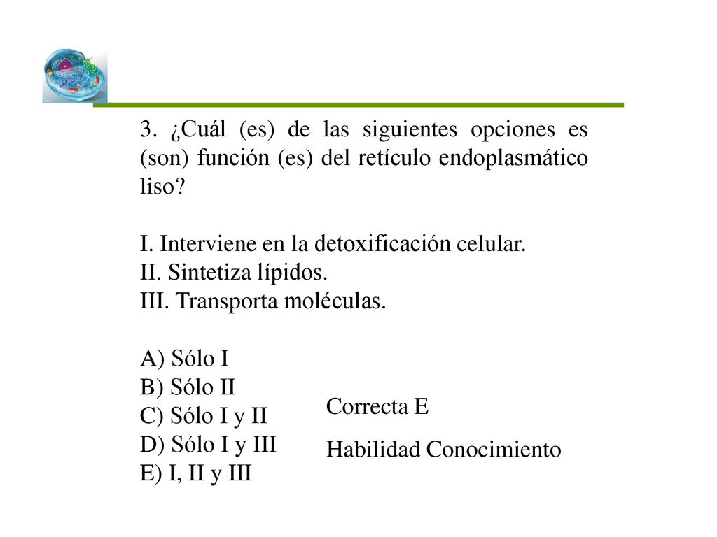 3. ¿Cuál (es) de las siguientes opciones es (son) función (es) del retículo endoplasmático liso