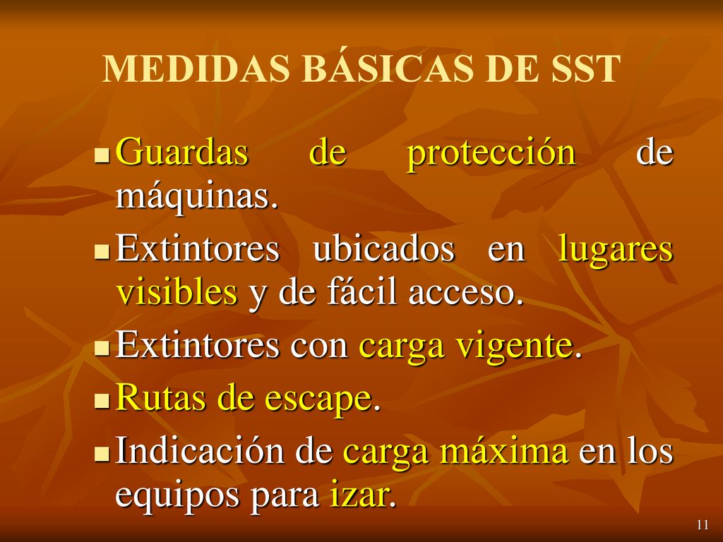 MEDIDAS BÁSICAS DE SST Guardas de protección de máquinas. Extintores ubicados en lugares visibles y de fácil acceso.