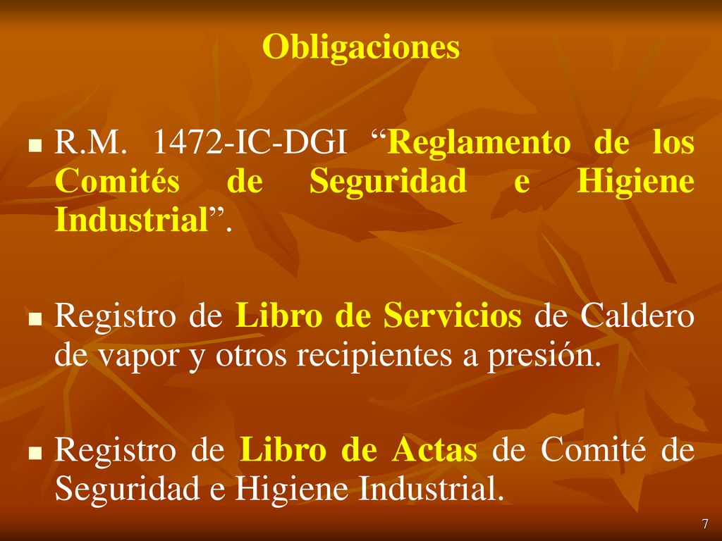 Obligaciones R.M IC-DGI Reglamento de los Comités de Seguridad e Higiene Industrial .