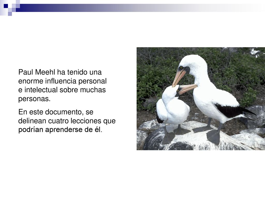 Paul Meehl ha tenido una enorme influencia personal e intelectual sobre muchas personas.