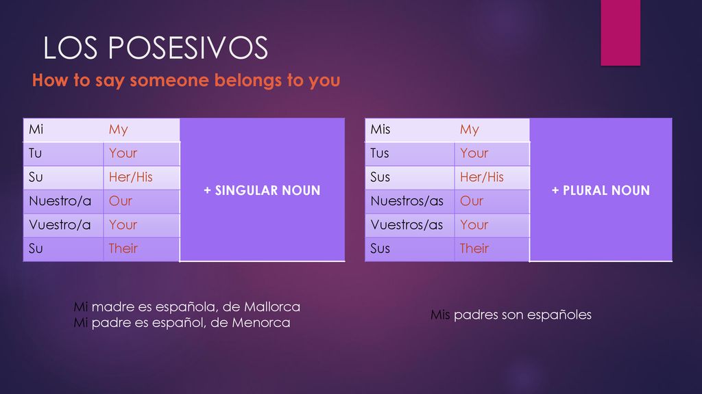 LOS POSESIVOS How to say someone belongs to you Mi My + SINGULAR NOUN