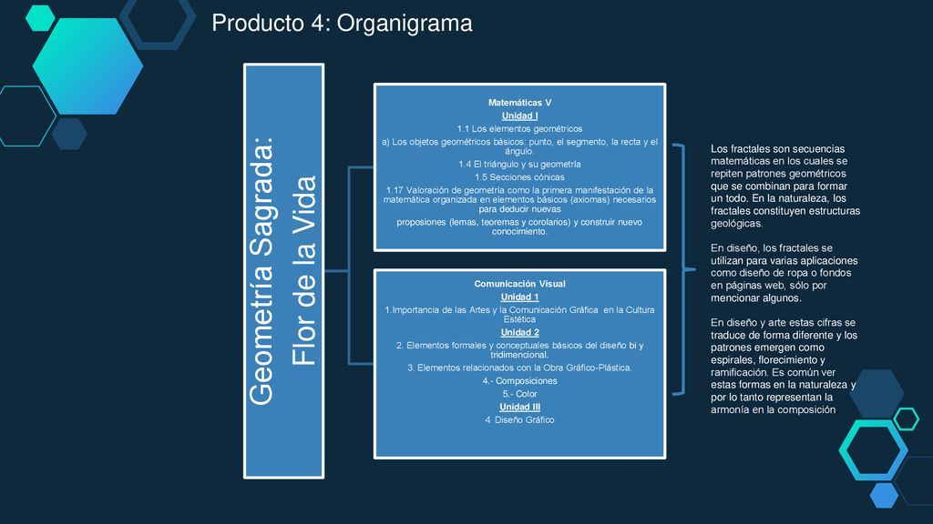 Geometría Sagrada: Flor de la Vida Producto 4: Organigrama