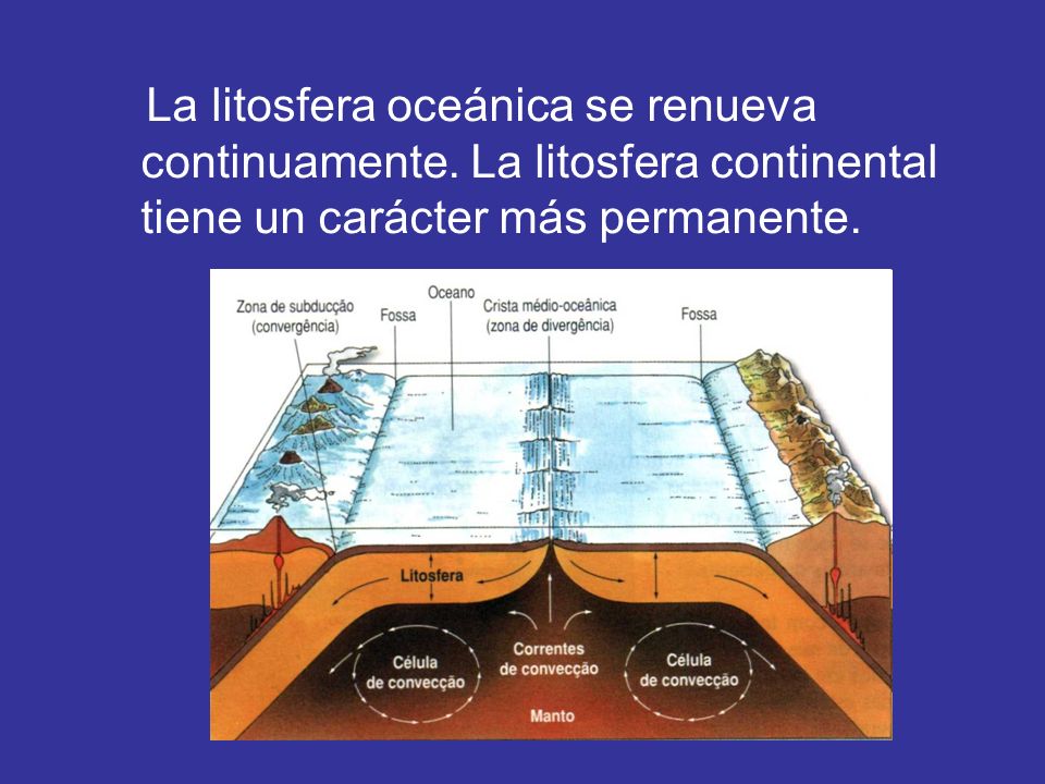 La litosfera oceánica se renueva continuamente