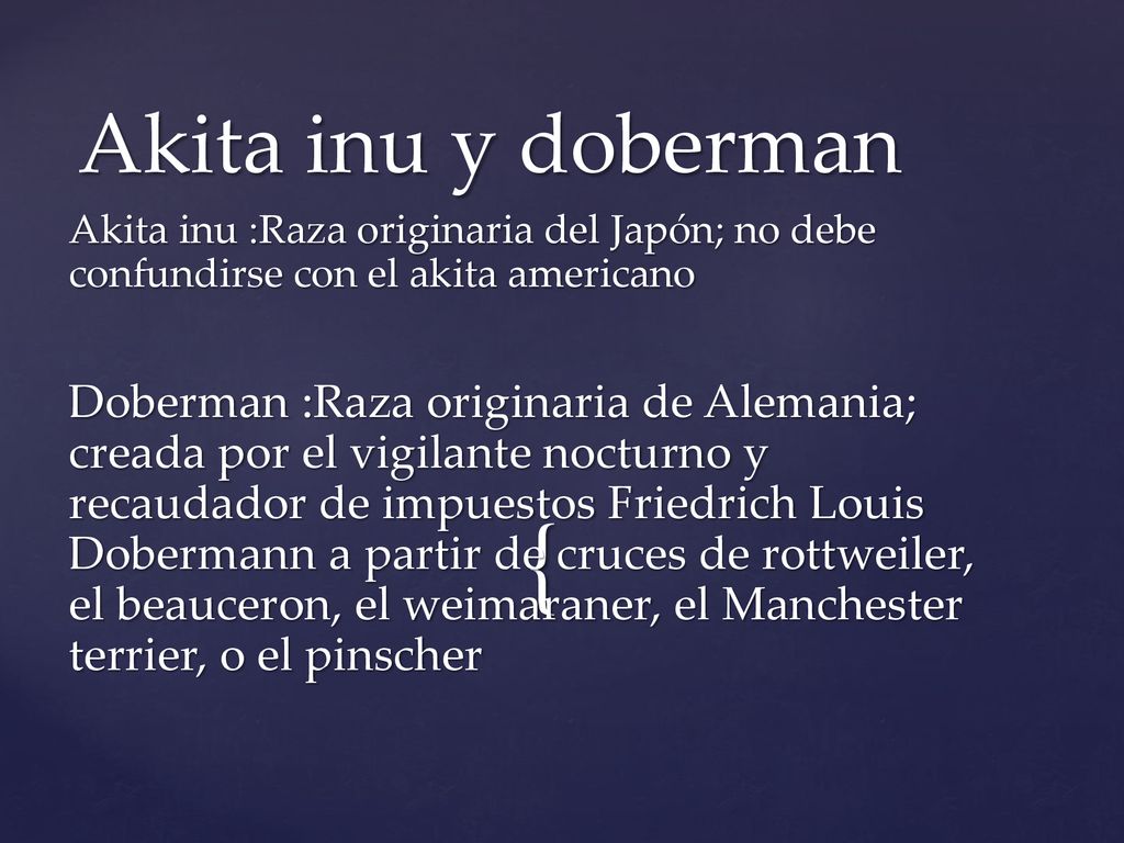 Akita inu y doberman Akita inu :Raza originaria del Japón; no debe confundirse con el akita americano.