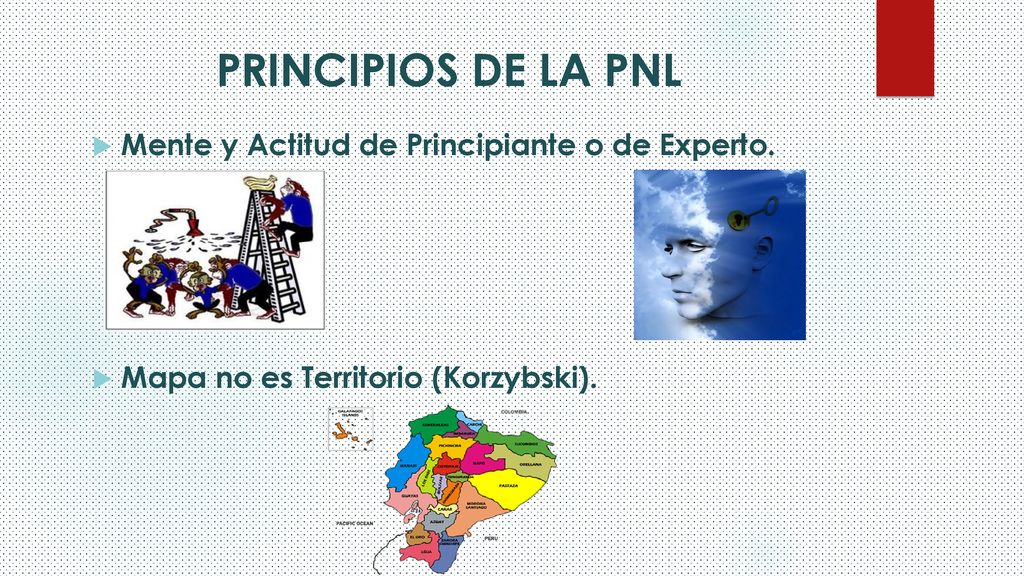 PRINCIPIOS DE LA PNL Mente y Actitud de Principiante o de Experto.