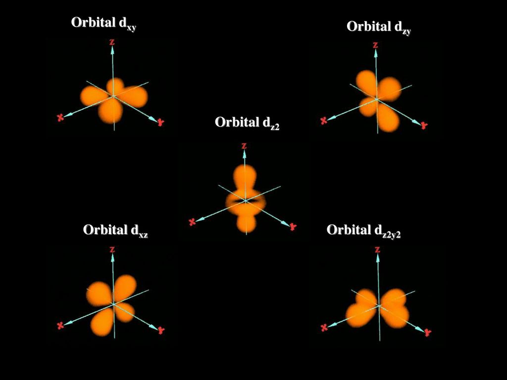 Orbital dxy Orbital dzy Orbital dz2 Orbital dxz Orbital dz2y2