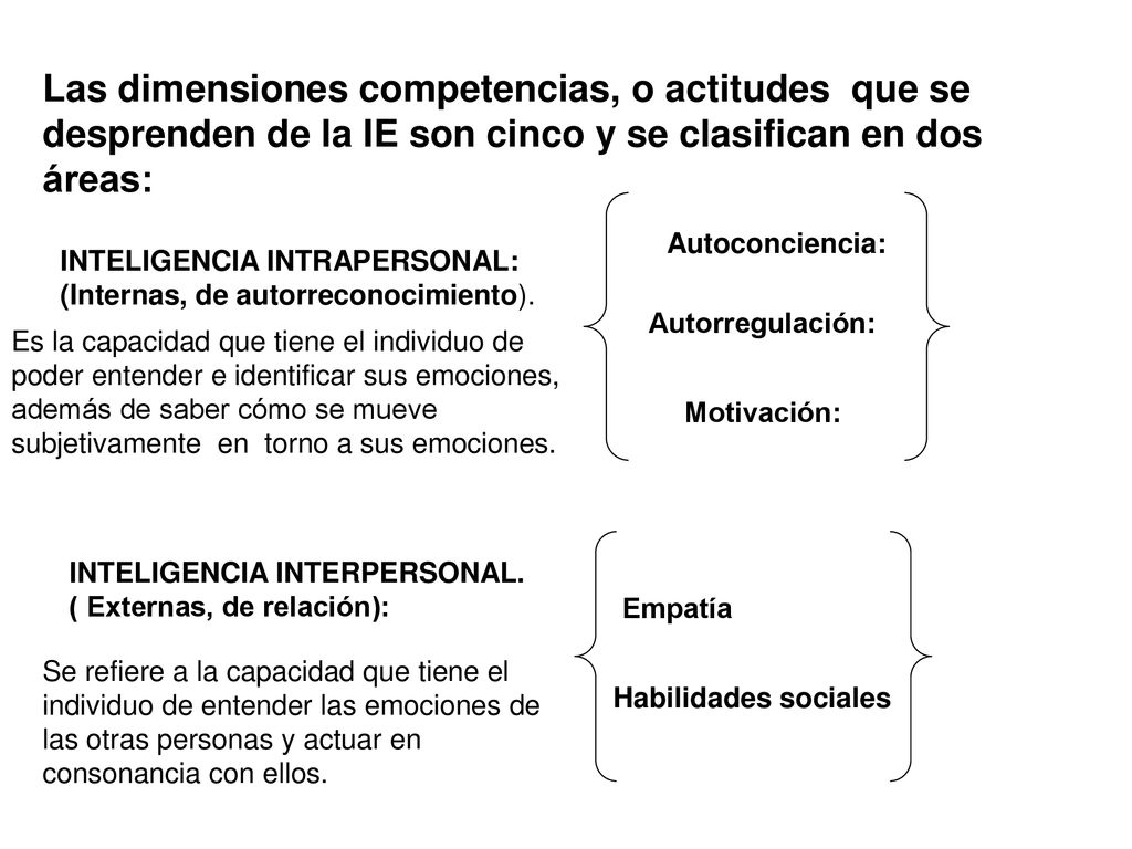 Las dimensiones competencias, o actitudes que se desprenden de la IE son cinco y se clasifican en dos áreas: