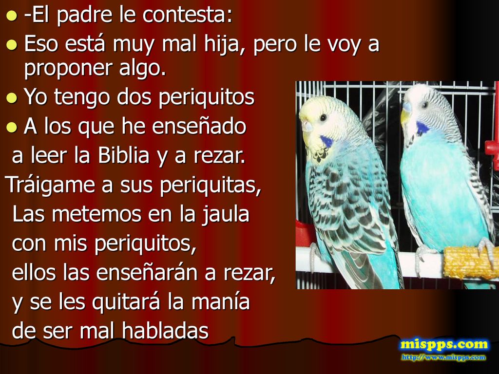 -El padre le contesta: Eso está muy mal hija, pero le voy a proponer algo. Yo tengo dos periquitos.