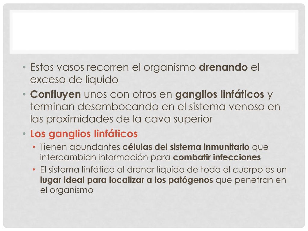 Estos vasos recorren el organismo drenando el exceso de líquido