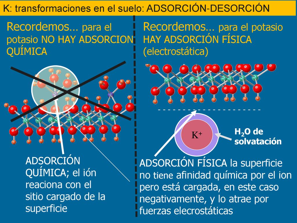 Recordemos… para el potasio NO HAY ADSORCION QUÍMICA