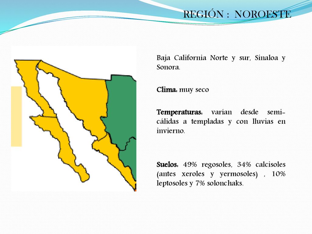 REGIÓN : NOROESTE Baja California Norte y sur, Sinaloa y Sonora.