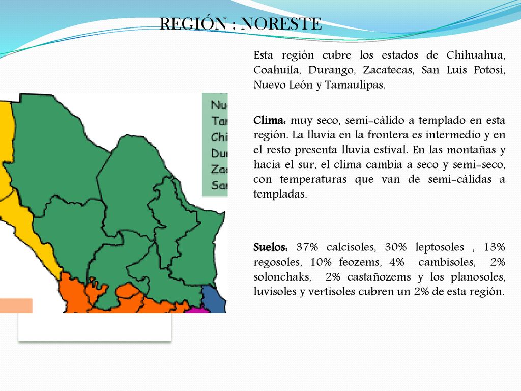 REGIÓN : NORESTE Esta región cubre los estados de Chihuahua, Coahuila, Durango, Zacatecas, San Luis Potosí, Nuevo León y Tamaulipas.