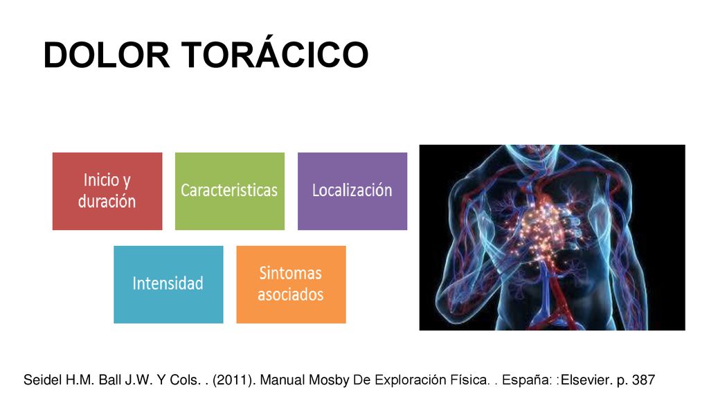 DOLOR TORÁCICO Aparición. Localización. Intensidad. Carácter: cómo es Irradiación. Alivio/aumento.